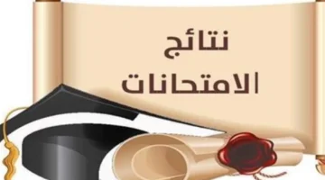 بنسبة 99.57%.. محافظ الشرقية يعتمد نتيجة الشهادة الإعدادية المهنية للدور الأول